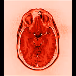 64162533542198579898252916190583583845604629893829087458582976341727808323585