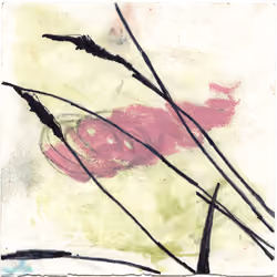 Flora 2
