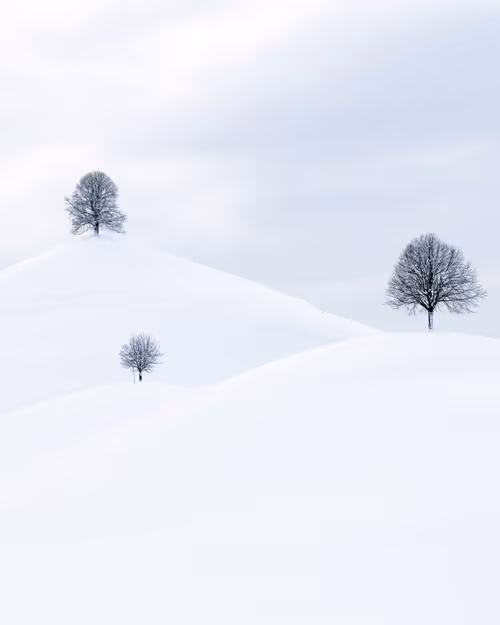 Item #13530196008563854885734701645489239893445931623828964503452581740004285349889 Media