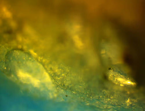 Item #71646257518770613568983710813551014237803002136866425209291834698095680028673 Media