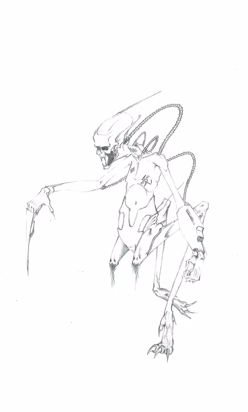 Item #44911830634806415009505496878451468126537426112800453401382132665387688394753 Media