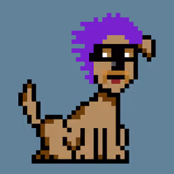 PunkDog #1851