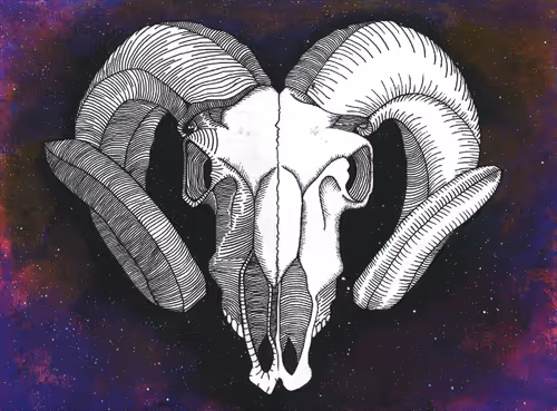 Item #28643270095657699598363278030462683753613169785813229951405121343220426473473 Media