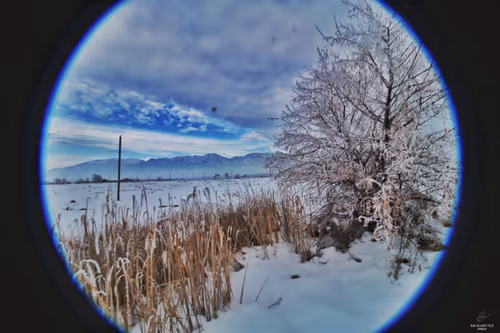 Item #99336931045118591179229277563364267631006438606699611254274404948413335470081 Media