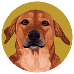 54766349128176429303044182404049584425310907481653304317570413991405471924225