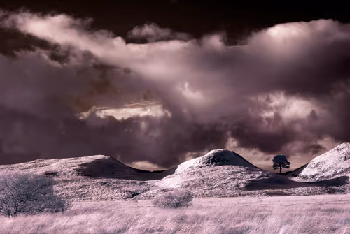 Item #105424874580272350249353180101820695324338341917620358577696675050918516883457 Media