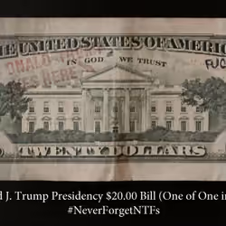 NeverForgot:  Trump Presidencial $20.00 Bill (One of One) - One Owner Only 