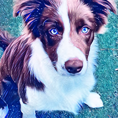 JellycShiv Collection