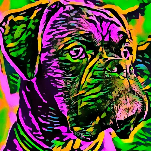 Item #50830097462543580601473563981388698009005024090223633461481090196670716575844 Media