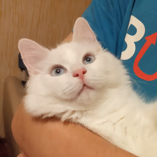 Item #763224073280193224173041358155125596503139434424356380946212179451830075393 Media