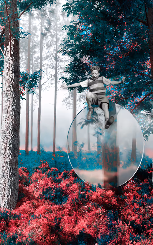 Item #84469936790212907123141322932816190203494814433864837793370648576108531810305 Media