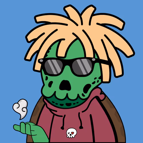 TurtleMories #1
