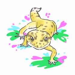 Happy Gecko #003
