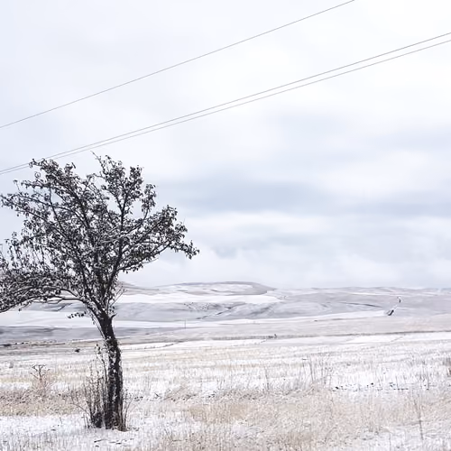 Lonely three from Kyrgyzstan