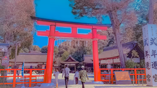 Item #26309083901545567454709889211670292098627789932924015051489478941583238758405 Media