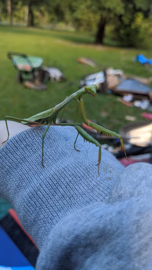 Item #47518194273065051299756248603371626593986050369570479212048397423413611724801 Media