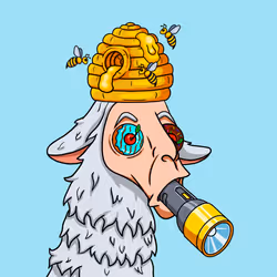 106076778027176236786355508088166298488161320369241878642668706795160185339905