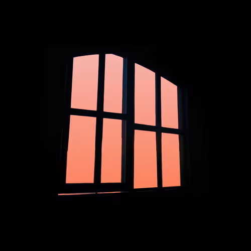 Thepinkhood