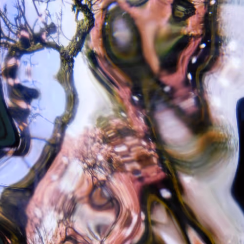 69449963922852364954711310792896673656328996602100154013881719602531822206986