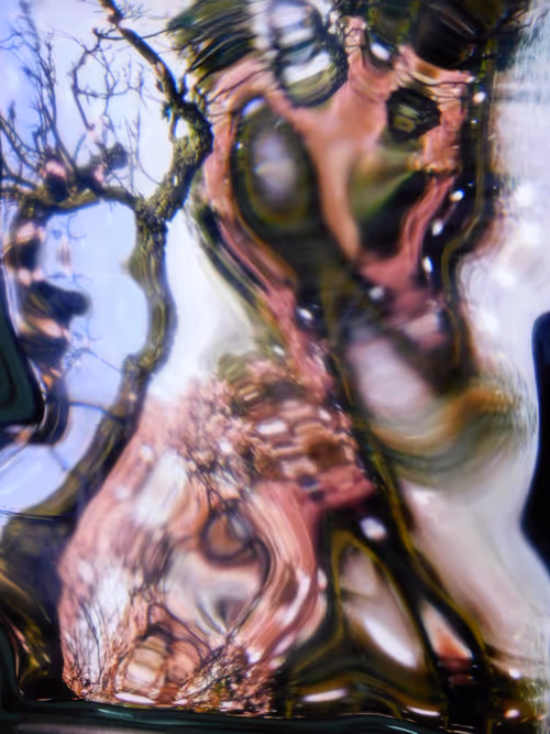 Item #69449963922852364954711310792896673656328996602100154013881719602531822206986 Media