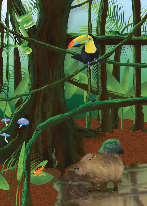 Item #16856792038433310560442353969730674754691862844441676398277363845354028531713 Media