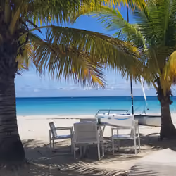 Sunny Days in Jamaica
