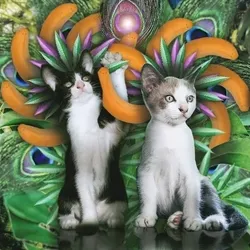 Welcome to the Jungle