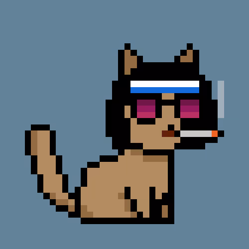 PunkCat #631