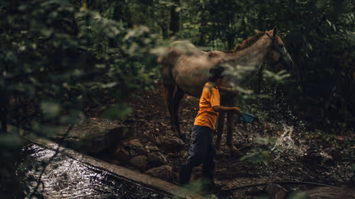 Item #38640678418960091879167073134620808059318826379912893500964934307467342381057 Media