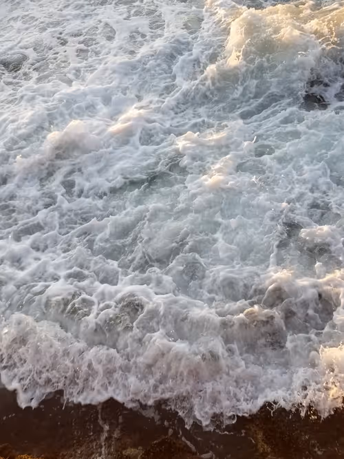 Item #36797478990227503802515544271343238965940869473164843468653790216236602228737 Media