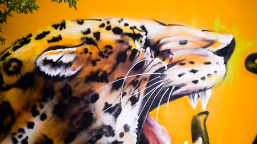 69867094786435958426257967077613734682094200062396411230454205212280150294529