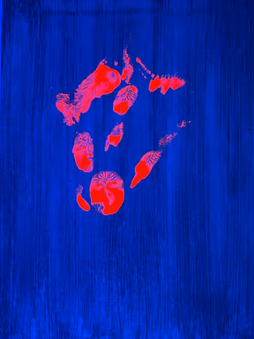 Item #82156306384610747966184862212727550247456131418142315154672423530334479450113 Media