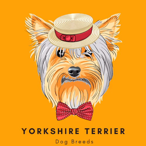 Item #102435799496306094734793923269386745647945406749022464082574321230106121469953 Media