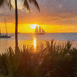 Sunset Key Life