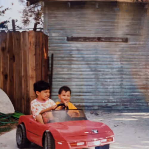 JesterGold Collection