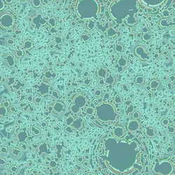 87353216888022099964370645107572389874129925836752805213271095514436810571777