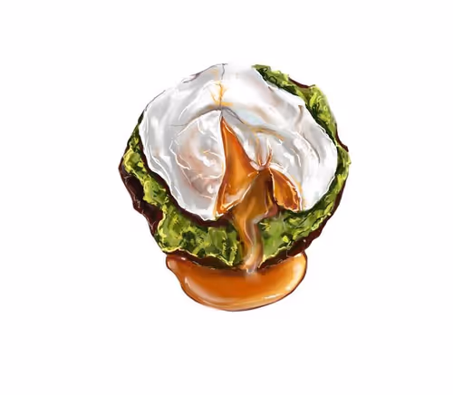 Item #21962165193374745206552296652865724866282699930780876597266245702656263716865 Media