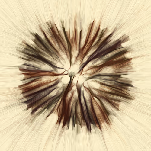 Item #74011109513159304894558377152860080667648997857135590135513699062601735995393 Media