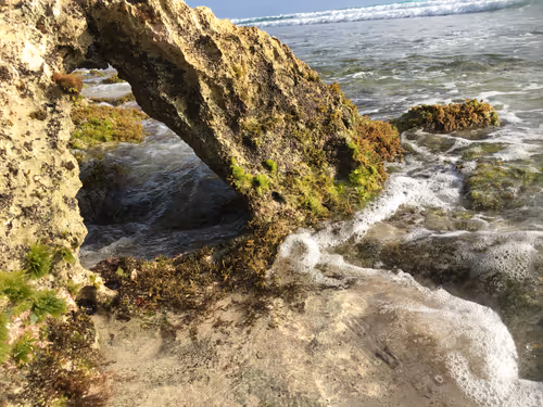 Item #65251912769187327734880451157688829930173793055555164661169062269856683917313 Media