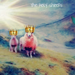 The Holy sheeps