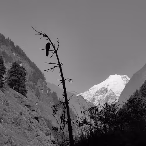 Mountains Stories