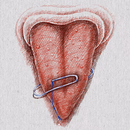 Item #27921743008571817687184646178926159877577224498393299984677393017454576271361 Media