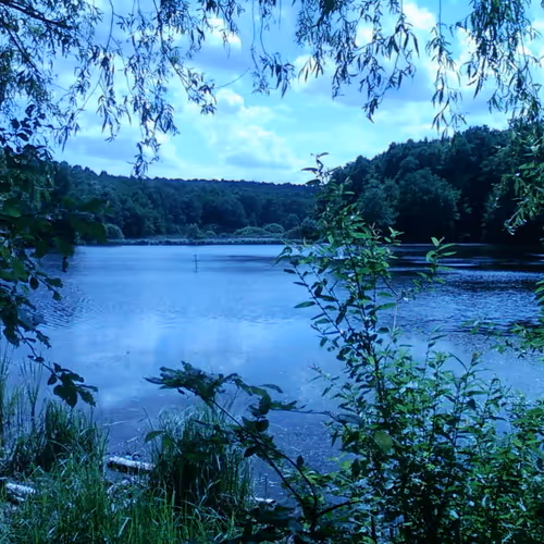 Untitled Collection #466305106