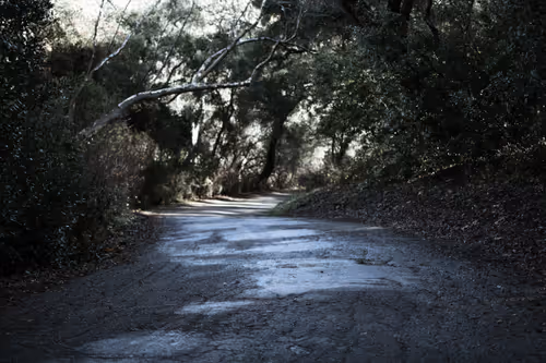 Item #104577317193629277838859014289850954037009501106472948457623431553558366912513 Media