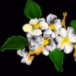Flower abstract