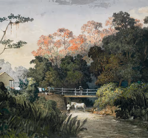 Trinbagohistoricalartcollective