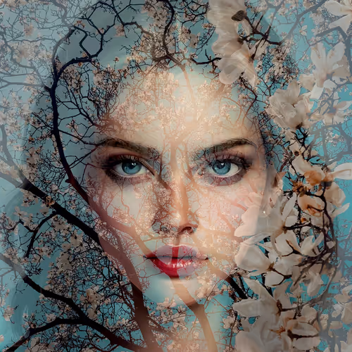 Item #22028343110864514230663045357516860302548957425886044697786252132877126860801 Media