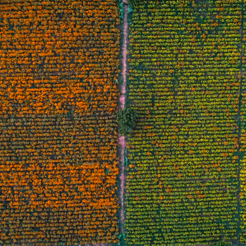 67686649945813211142348116383551297901422610875826896463266851539739394179073