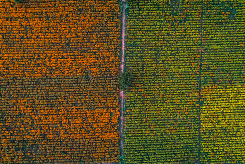 Item #67686649945813211142348116383551297901422610875826896463266851539739394179073 Media