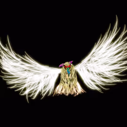 junky owl night kamui